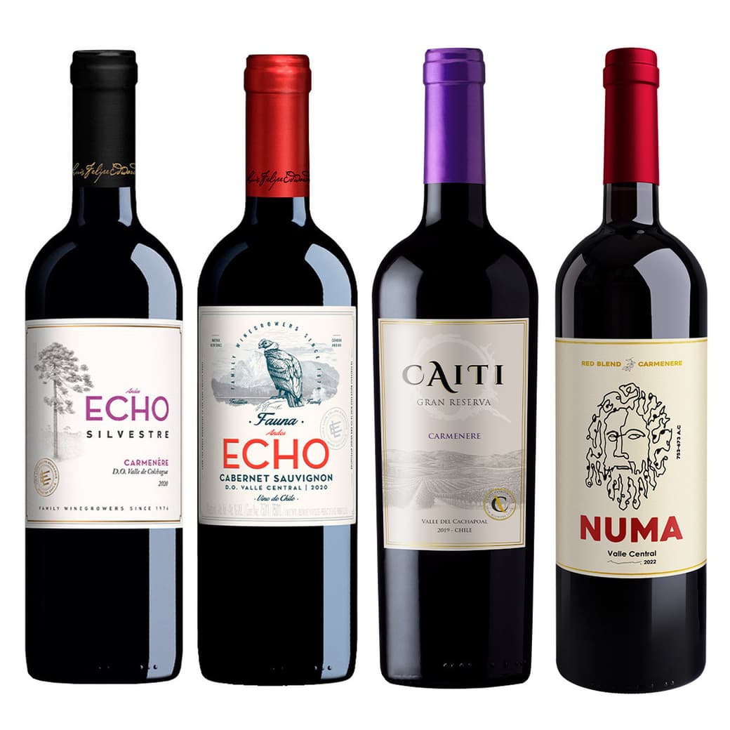 PACK NUMA - ECHO - CAITI: Gran Selección de 4 Vinos!_1