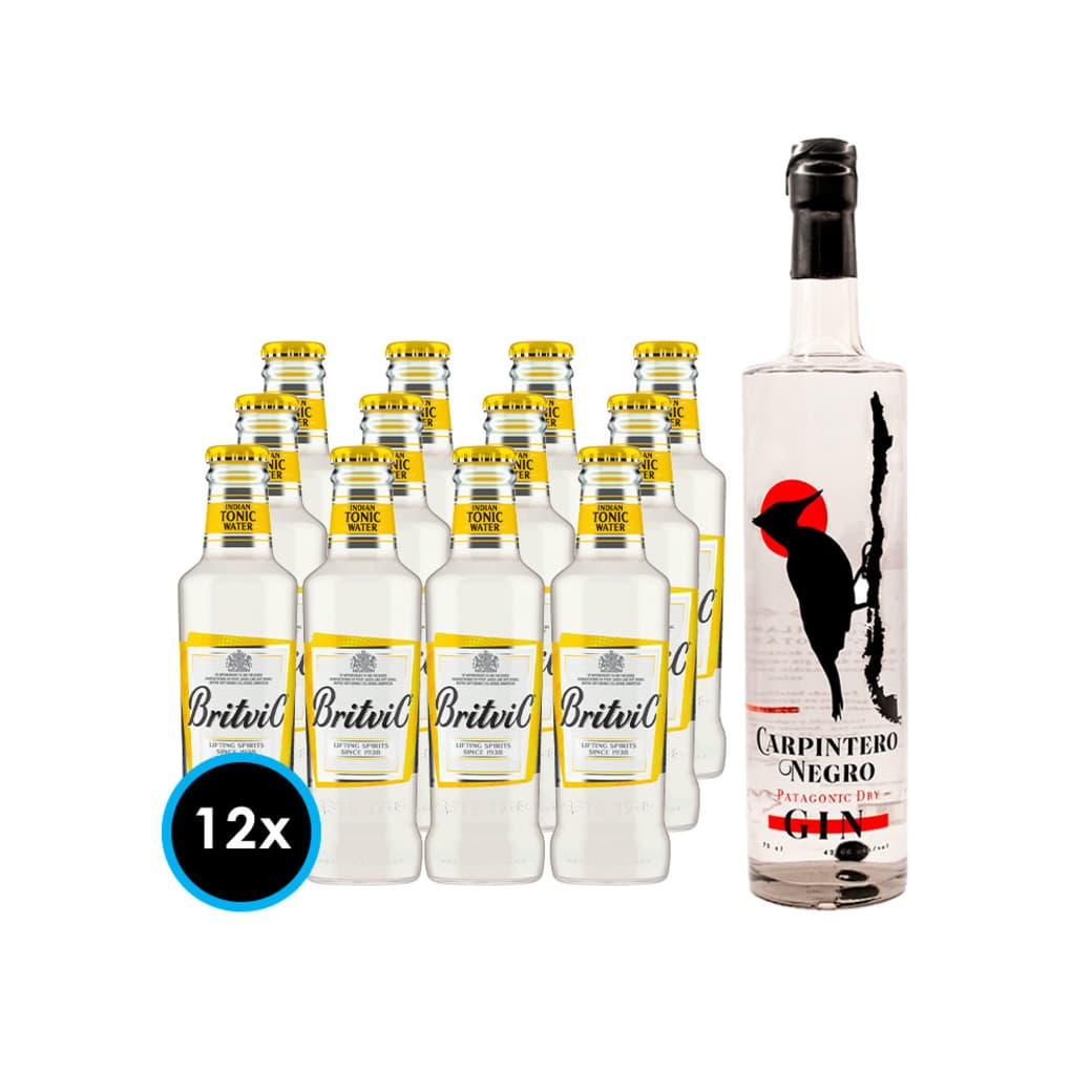 PACK CARPINTERO NEGRO BRITVIC (Agua Tónica): 12x Agua Tónica Britvic 200cc + Gin Carpintero Negro 750cc_1