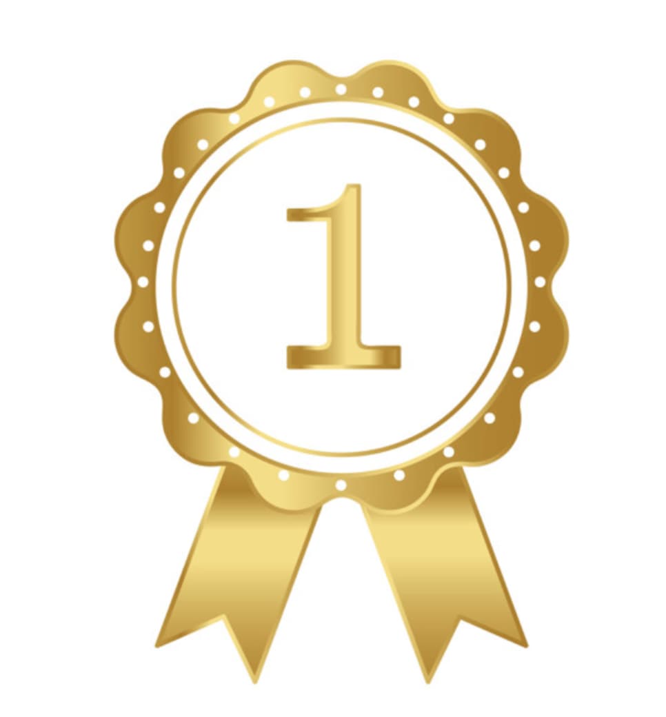 Premio San Pedro 19 Enero_1