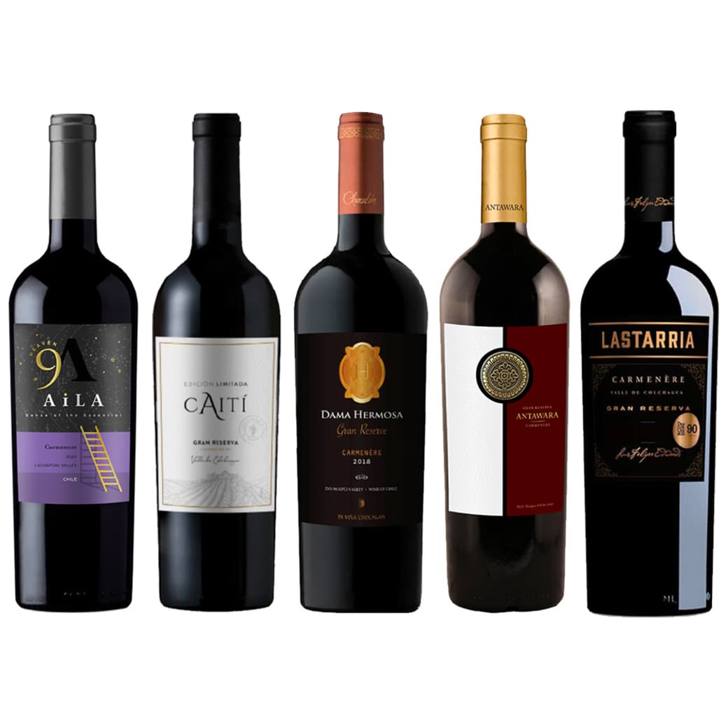 GRAN QUINTETO (Carmenere): 5x Vinos Carmenere Calidad Gran Reserva!_1