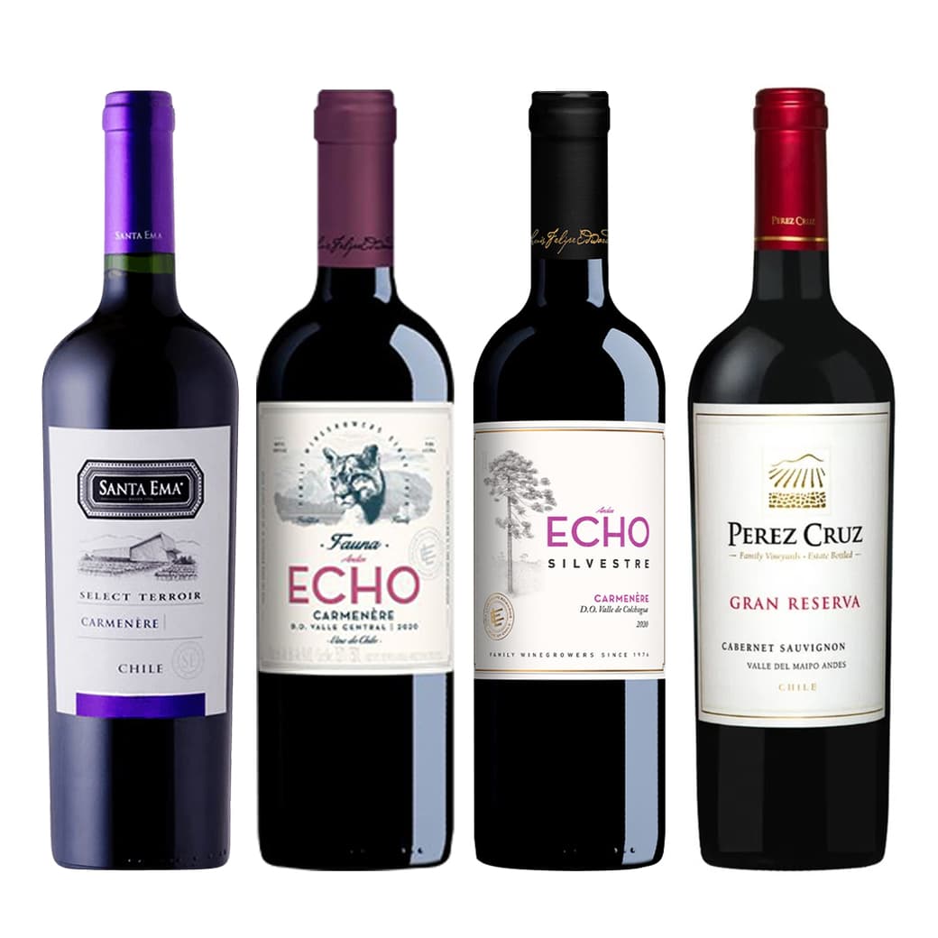 PACK ECHO - SANTA EMA - PEREZ CRUZ: Gran Selección de 4 Vinos!_1