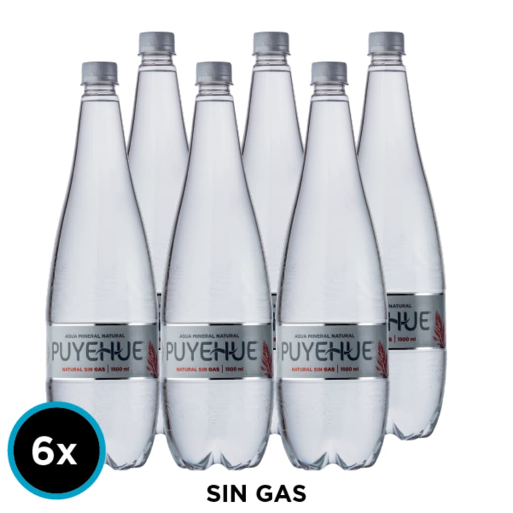 6x Agua Mineral Puyehue Sin Gas 1.5 L_1