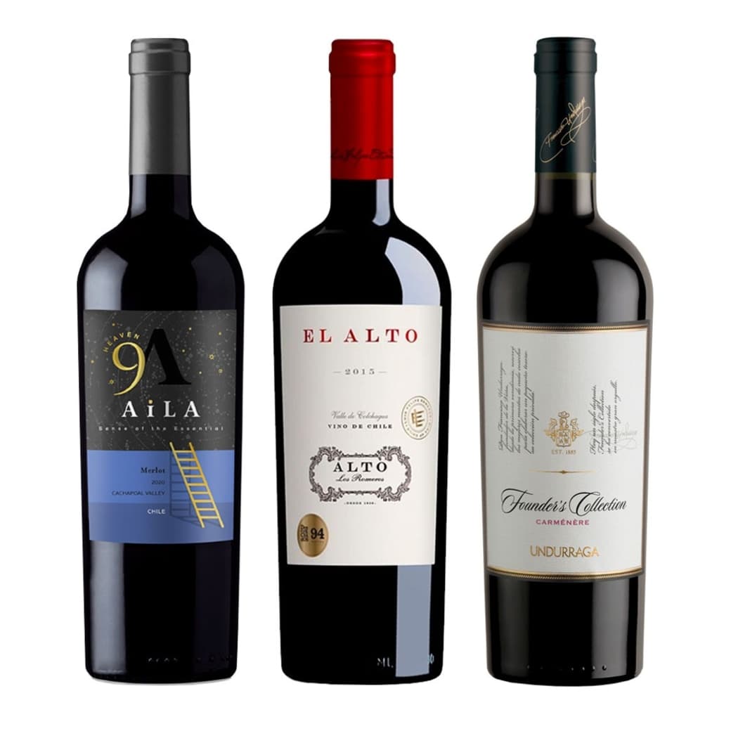 CLUB DE VINOS Nº14: 1x Vino Aila Heaven Gran Reserva Merlot 750cc + 1x Vino Alto Los Romeros - El Alto Mountain Red Blend 750cc + 1x Vino Undurraga Founders Collection Carmenere 750cc_1