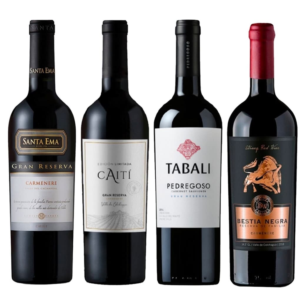 PACK LOS 4 FANTÁSTICOS Nº2: 1x Vino Santa Ema Gran Reserva Carmenere 750cc + 1x Vino Santa Ema Gran Reserva Carmenere 750cc + 1x Vino Caiti Gran Reserva Carmenere 750cc + 1x Vino Tabali Pedregoso Gran Reserva Cabernet Sauvignon 750cc_1