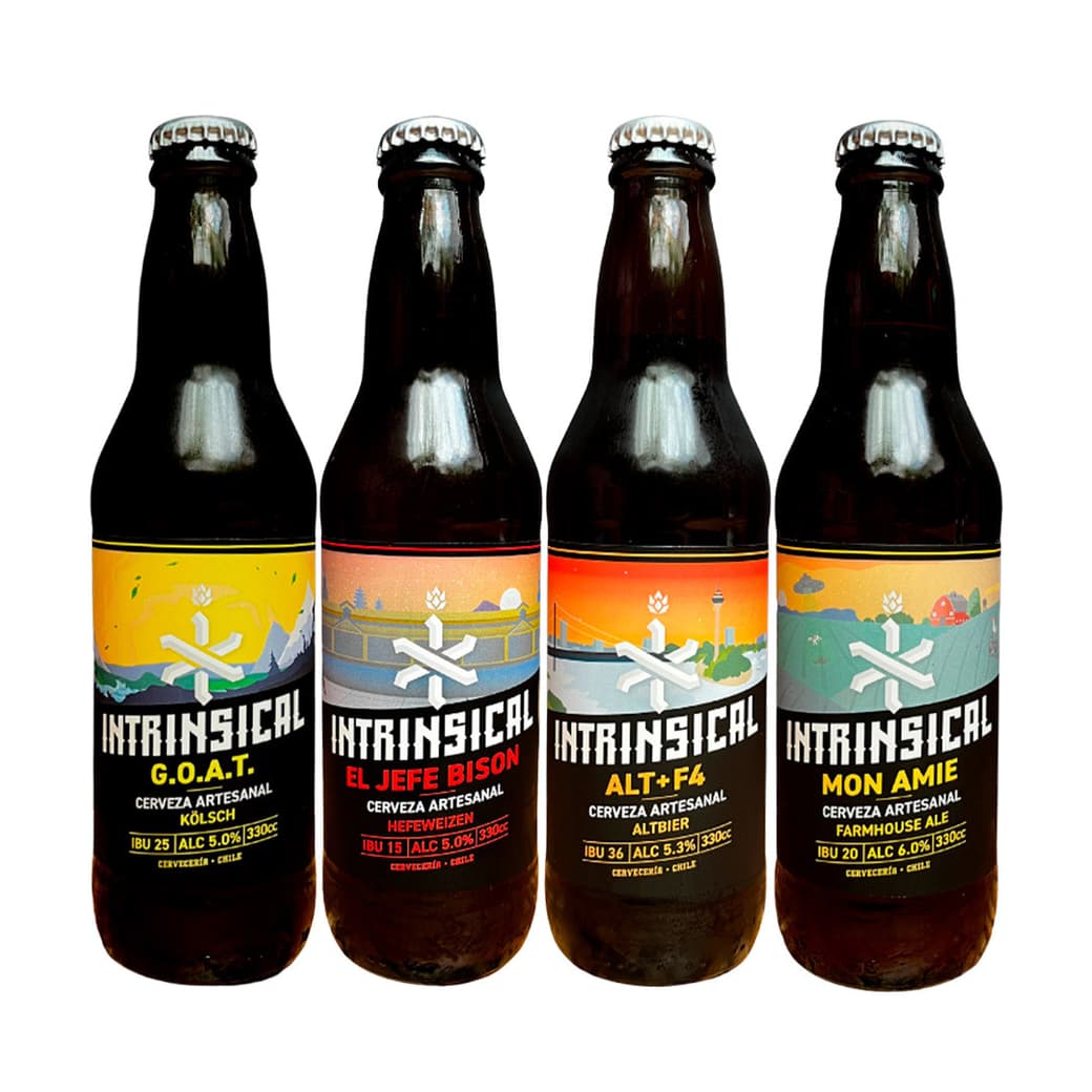 PACK INTRINSICAL N°1: 4x Variedades Cerveza Intrinsical_1