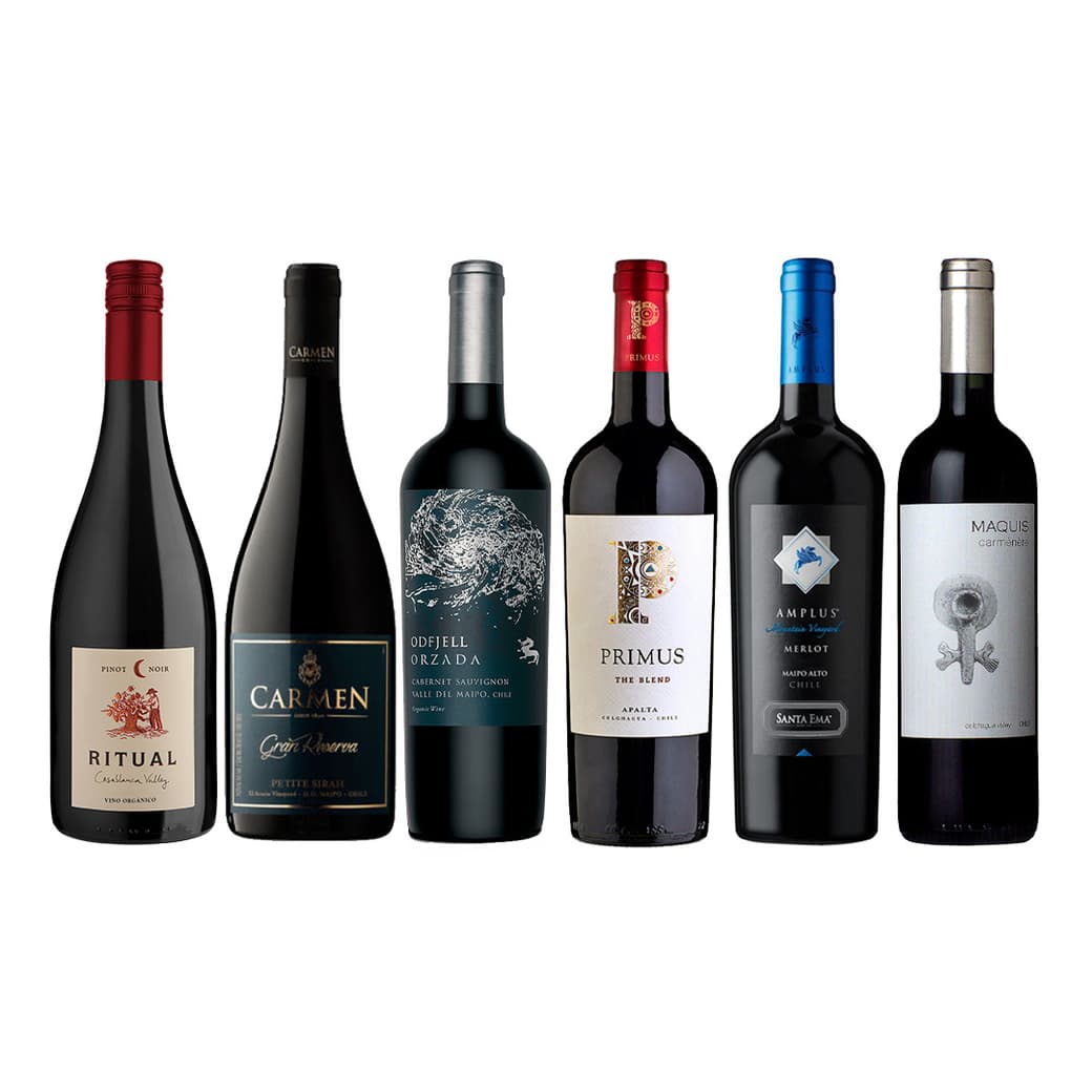 BOOZ TOP RANKEADOS Nº1: VINOS Ritual Pinot Noir Orgánico + Carmen Gran Reserva Petite Syrah + Odfjell Orzada Cabernet Sauvignon + Primus The Blend + Santa Ema Amplus Merlot + Maquis Gran Reserva Carmenere_1