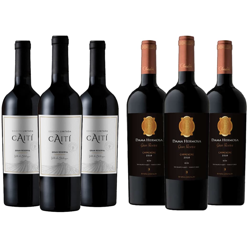 PACK CAITI - CHOCALAN (Gran Reserva): 3x Vino Caiti Gran Reserva Carmenere 750cc + 3x Vino Chocalan Dama Hermosa Gran Reserva Carmenere 750cc_1