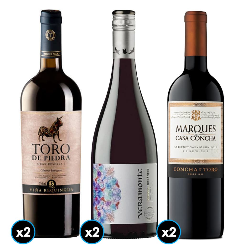 PACK VINOS MIX Nº1: 2x Vino Toro de Piedra Cabernet Sauvignon 750cc + 2x Vino Veramonte Pinot Noit Reserva 750cc + 2x Vino Marques de Casa Concha Cabernet Sauvignon 750cc_1