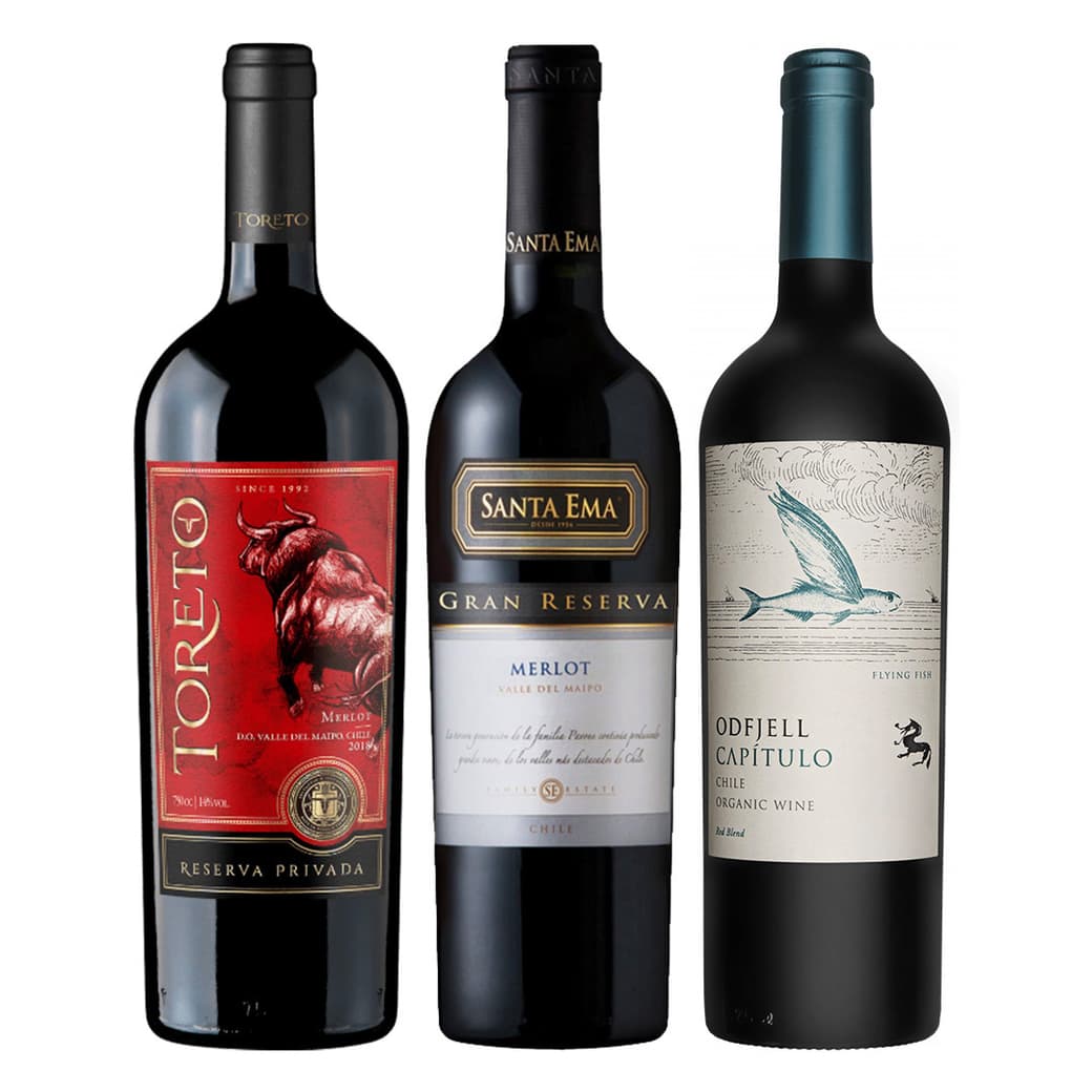 PACK TORETO RP N°5: 1x Vino Toreto Reserva Privada Merlot 750cc + 1x Vino Santa Ema Gran Reserva Merlot 750cc + 1x Vino Odfjell Gran Reserva Capítulo Flying Fish (CA/CS/MA/SY) 750cc_1