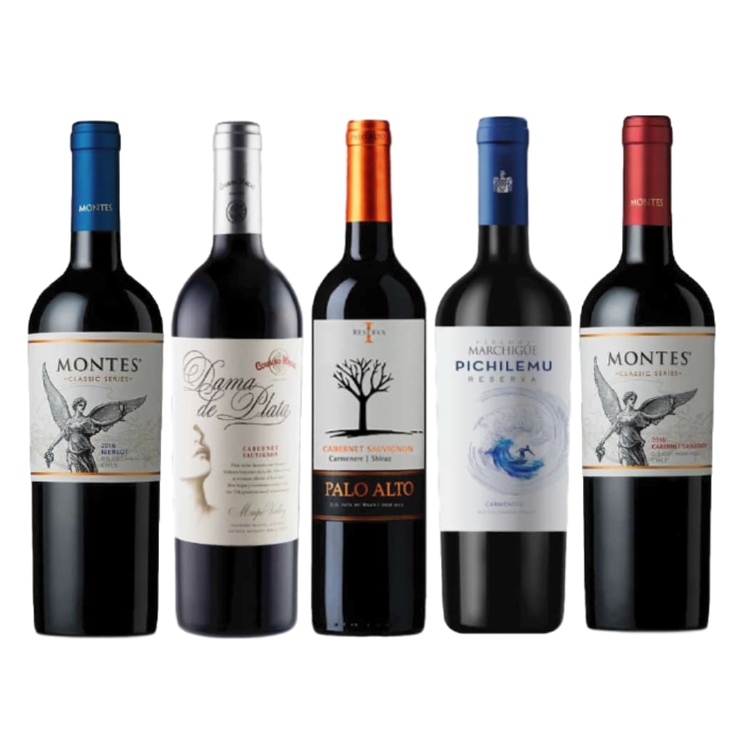 PACK RESERVAS SPRING: Vinos Montes Classic Merlot + Dama de Plata Cabernet + Palo Alto Cab/Car/Shir + Pichilemu Carmenere + Montes Classic Cabernet_1