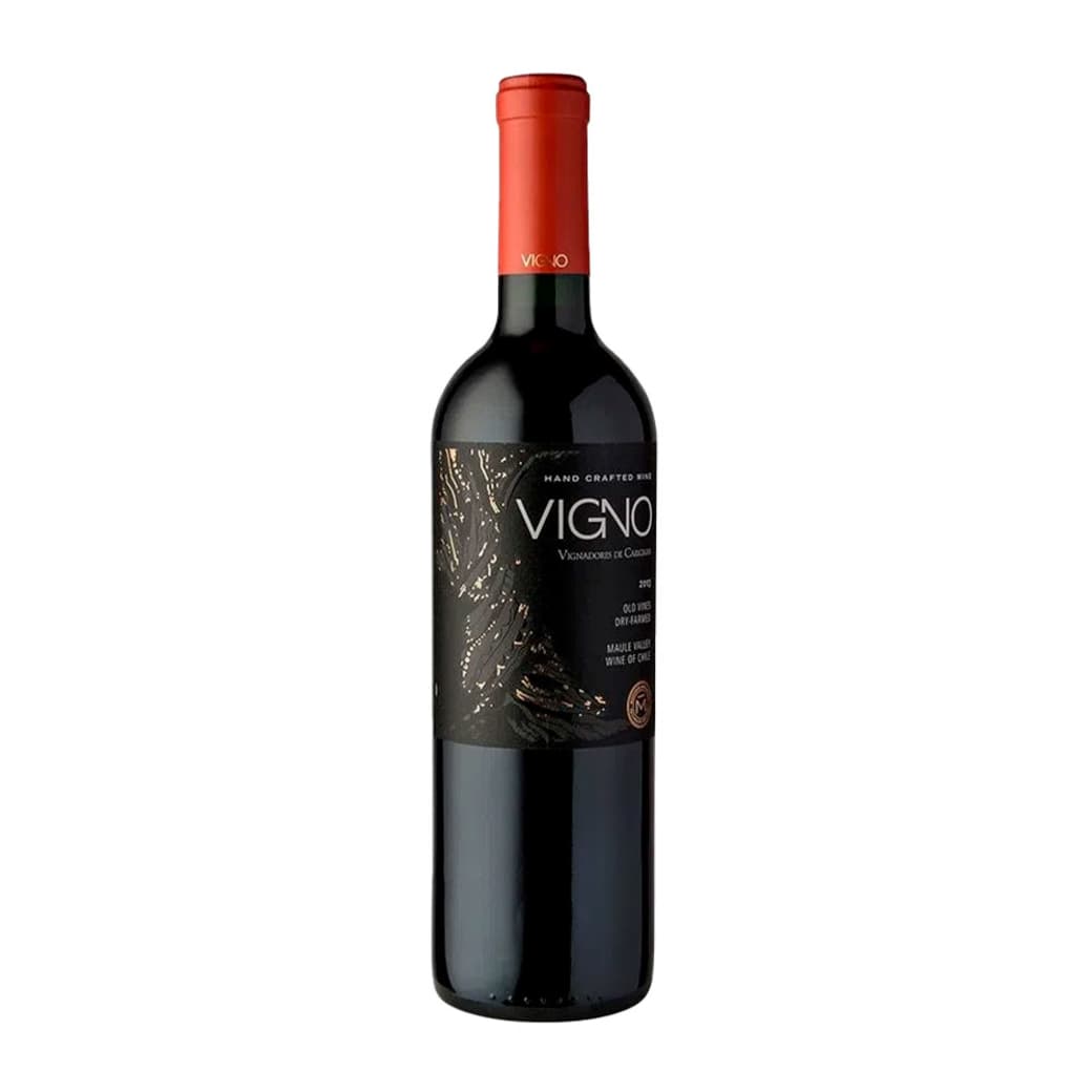 Vino Morande Adventure Vigno Carignan 750cc_1