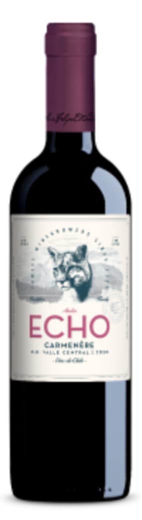 Vino Echo Silvestre Red Blend 750cc_1