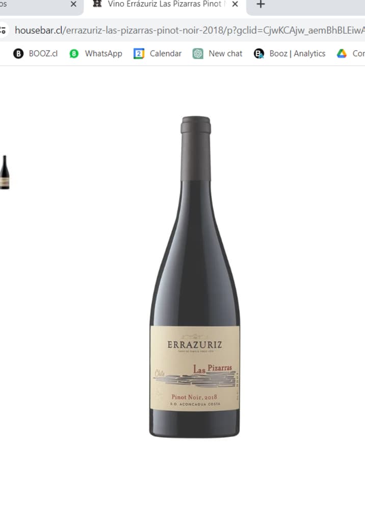 Vino Errázuriz Las Pizarras Pinot Noir 750cc_1