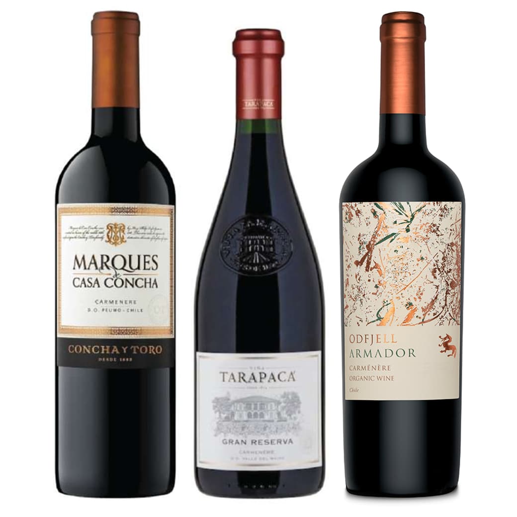 PACK CARMENERE GRAN RESERVA VALLE DEL MAIPO: Vino Odfjell Armador Carmenere 750cc + Vino Tarapacá Gran Reserva Carmenere 750cc + Vino Marques de Casa Concha Carmenere 750cc_1