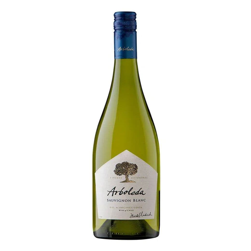 Vino Arboleda Sauvignon Blanc 750cc_1