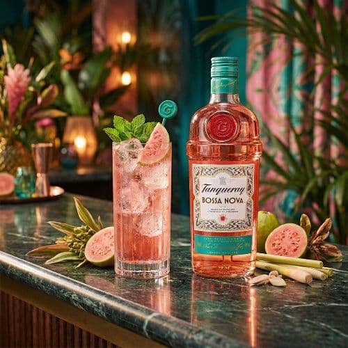 Gins Favoritos Hasta -50%