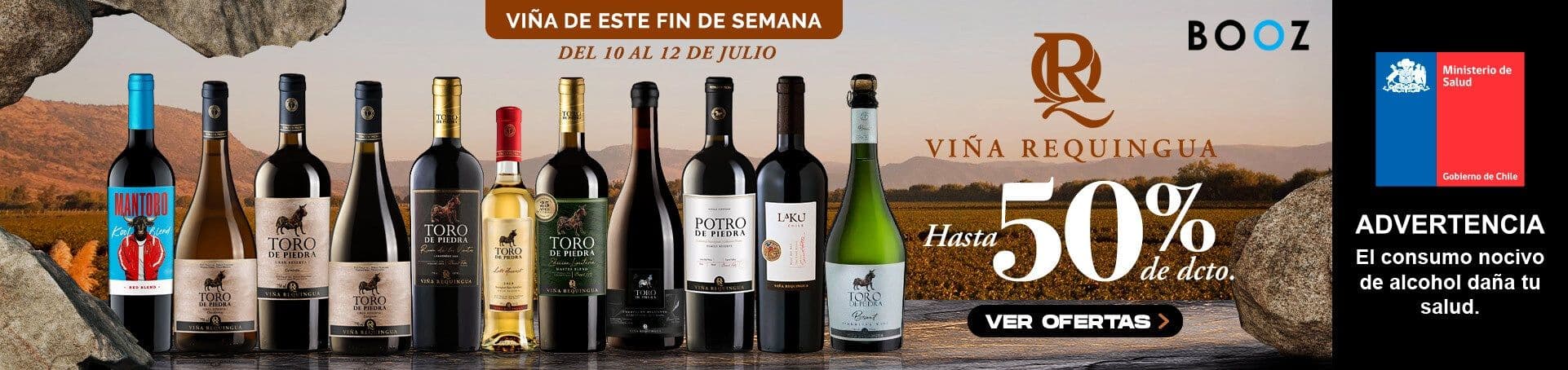FDS Viña Requingua Julio 2026