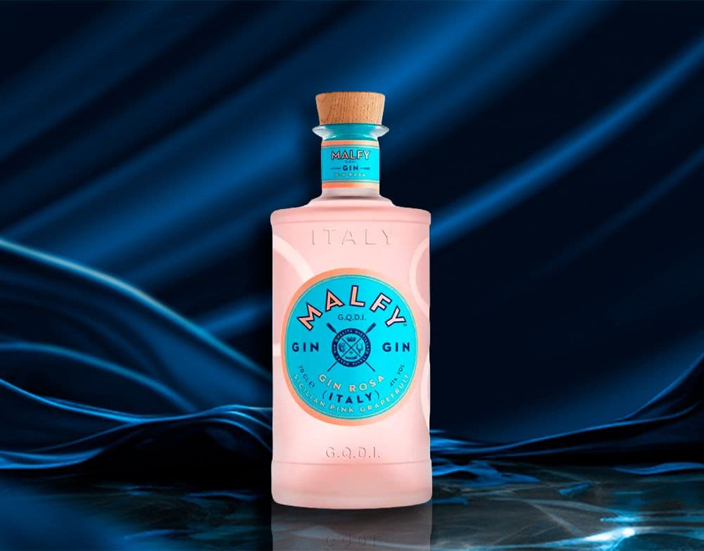 Gin Favoritos Hasta -50%