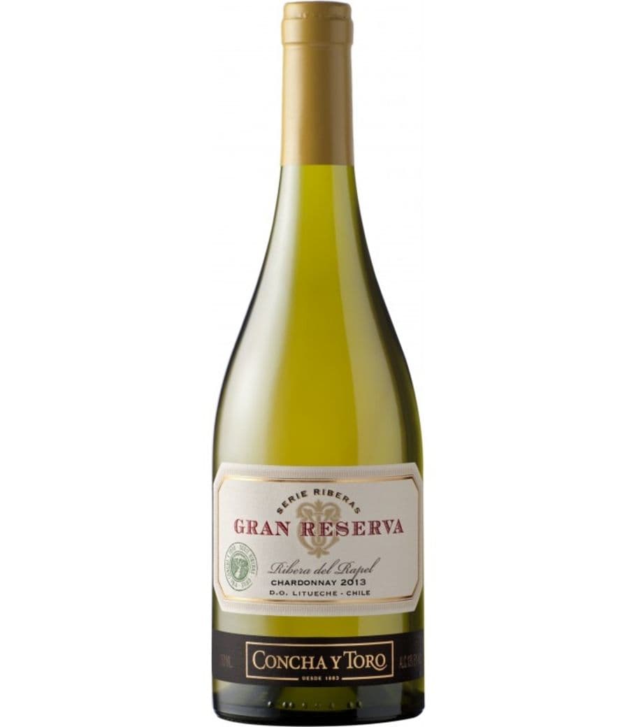 Vino Serie Riberas Gran Reserva Chardonnay 750cc_1