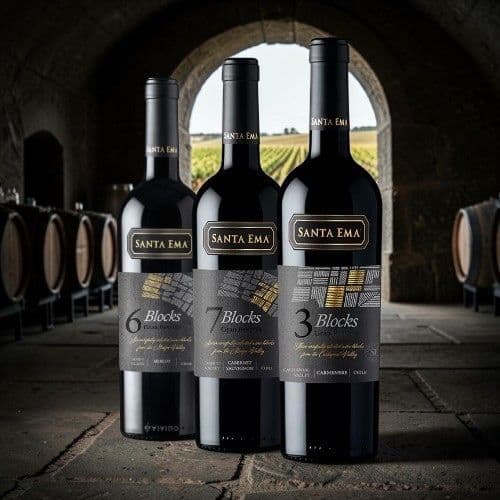¡Blocks! Nueva Edición De Vinos Santa Ema
