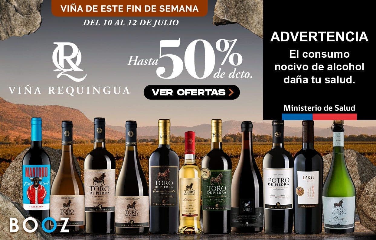 FDS Viña Requingua Julio 2026