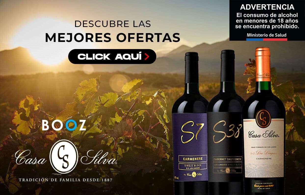 Campaña Paraiso Del Sur - Casa Silva Agosto 2025