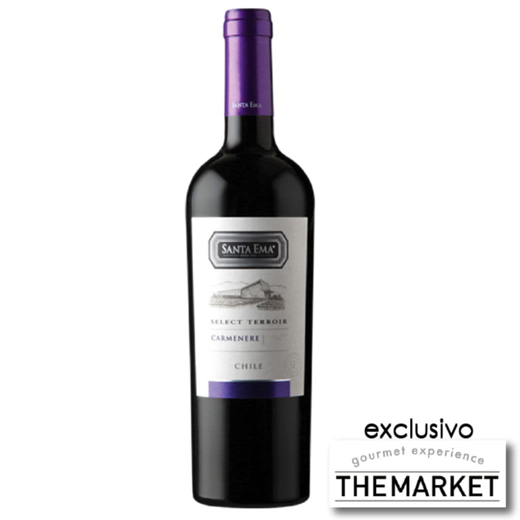 [THE MARKET] Vino Santa Ema Select Terroir Reserva Carmenere 750cc_1