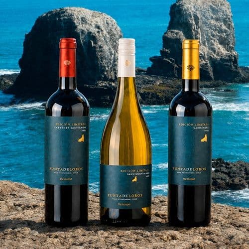 Descubre Marca Exclusiva Punta De Lobos De Viu Manent