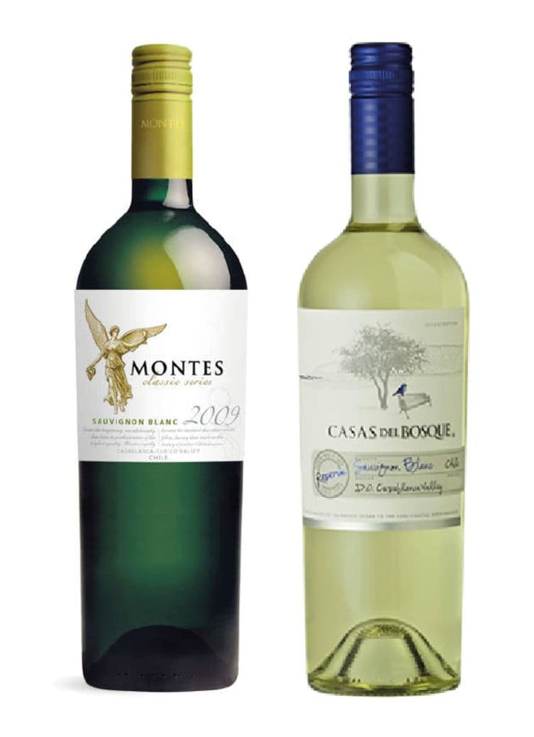 Montes Classic Sauvignon Blanc 750cc + Casas Del Bosque Reserva Sauvignon Blanc_1