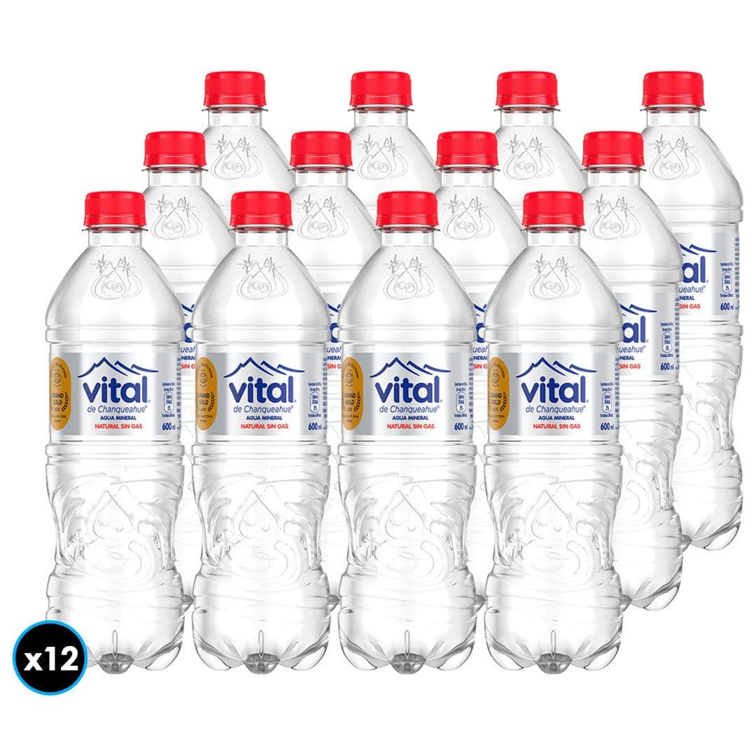 12x Agua Mineral Vital Sin Gas Botella 600cc_1