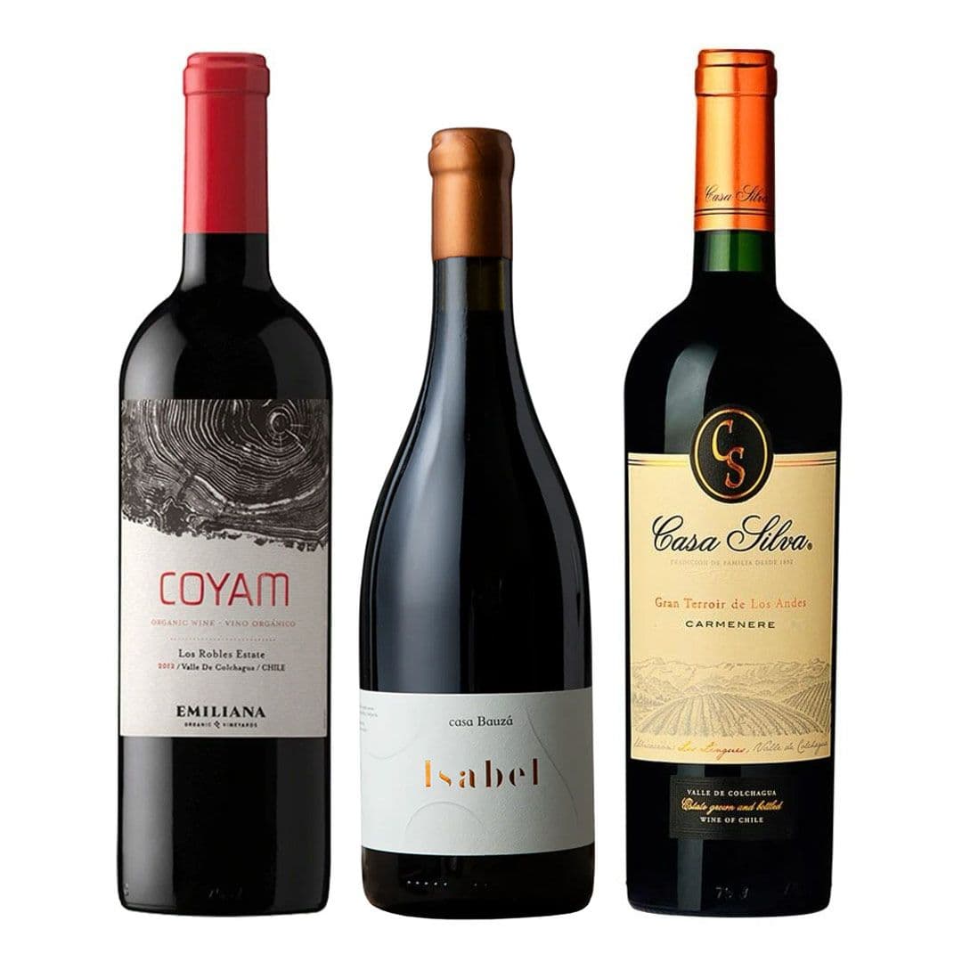 TRIO COYAM - BAUZA - CASA SILVA: 1x Vino Orgánico COYAM 750cc + 1x Vino Ícono Casa Bauzá Isabel 750cc + 1x Vino Casa Silva Gran Terroir Carmenere 750cc_1