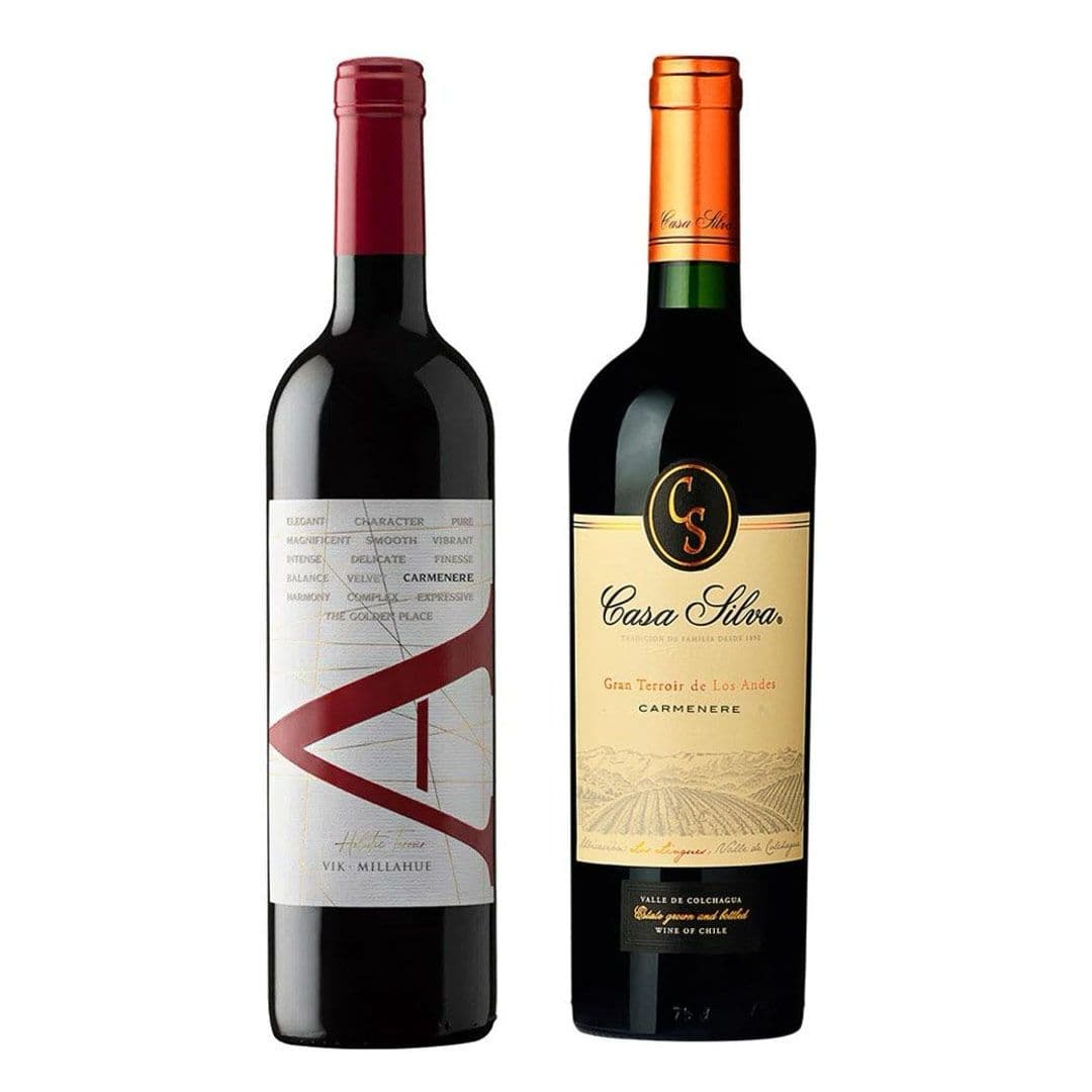 DUO VIK - CASA SILVA: 1x Vino VIK A Carmenere 750cc + 1x Vino Casa Silva Gran Terroir Carmenere 750cc_1