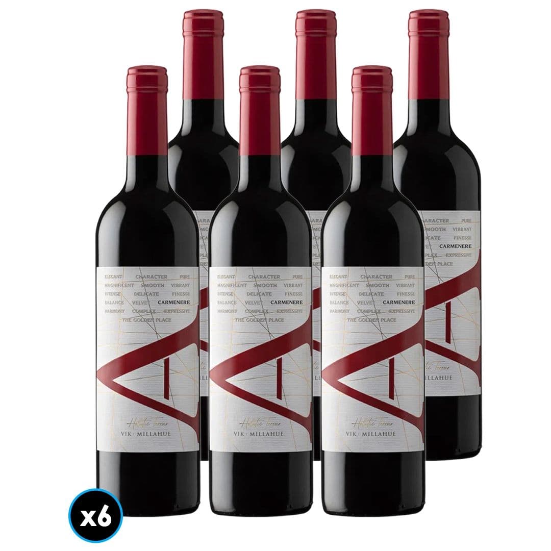 6x Vino VIK A Carmenere 750cc_1