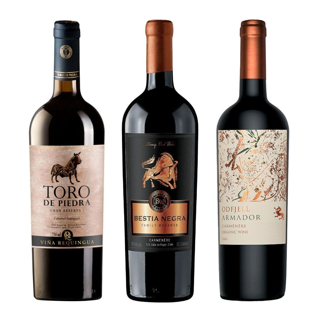 GRAN TRIO Nº3: Vino Toro de Piedra Cabernet Sauvignon 750cc + Vino Bestia Negra Carmenere 750cc + Vino Odfjell Armador Carmenere 750cc_1
