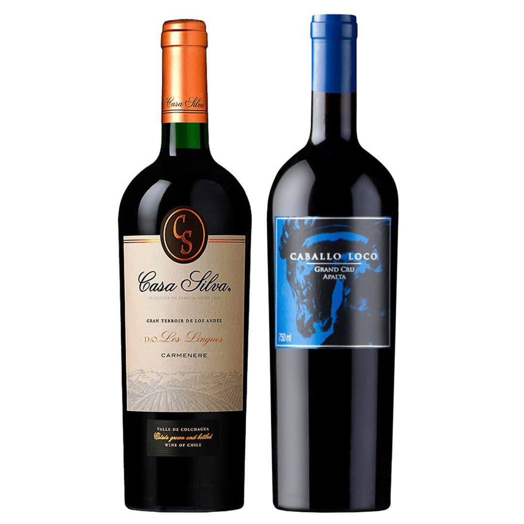 DUO CABALLO LOCO (Apalta) - GRAN TERROIR (Carmenere): 1x Vino Caballo Loco Grand Cru Apalta 750cc + 1x Vino Casa Silva Gran Terroir Carmenere 750cc_1