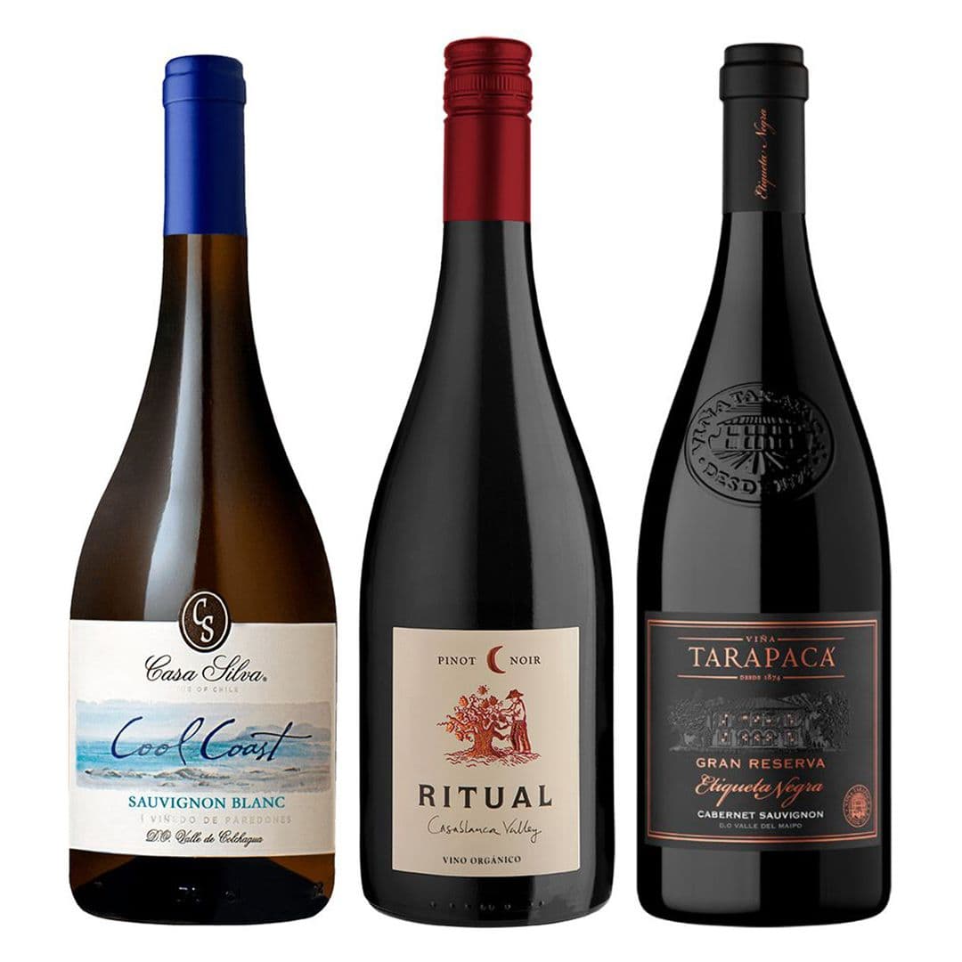 TRIO TARAPACA - CASA SILVA - RITUAL: 1x Vino Tarapacá Etiqueta Negra Cabernet Sauvignon 750cc + 1x Vino Casa Silva Cool Coast Sauvignon Blanc 750cc + 1x Vino Ritual Pinot Noir Orgánico 750cc_1