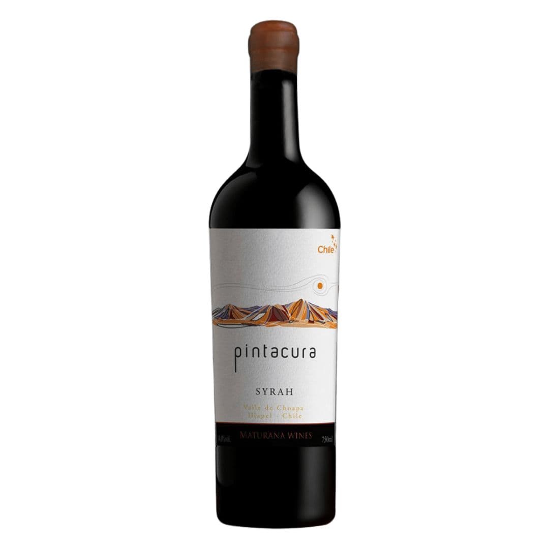 Vino Maturana Pintacura Syrah 750cc_1