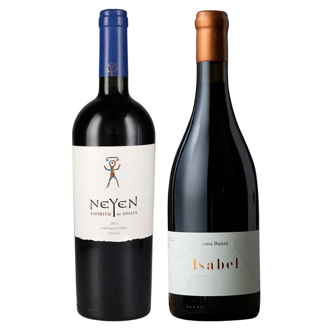 DUO ÍCONOS: 1x Vino Ícono Neyen de Apalta Blend 750cc + 1x Vino Ícono Casa Bauzá Isabel 750cc_1