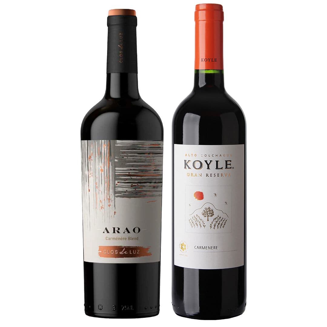 PACK CLOS DE LUZ N°3: 1x Vino Clos de Luz Arao Carmenere Blend Gran Reserva 750cc + 1x Vino Koyle Gran Reserva Carmenere 750cc_1