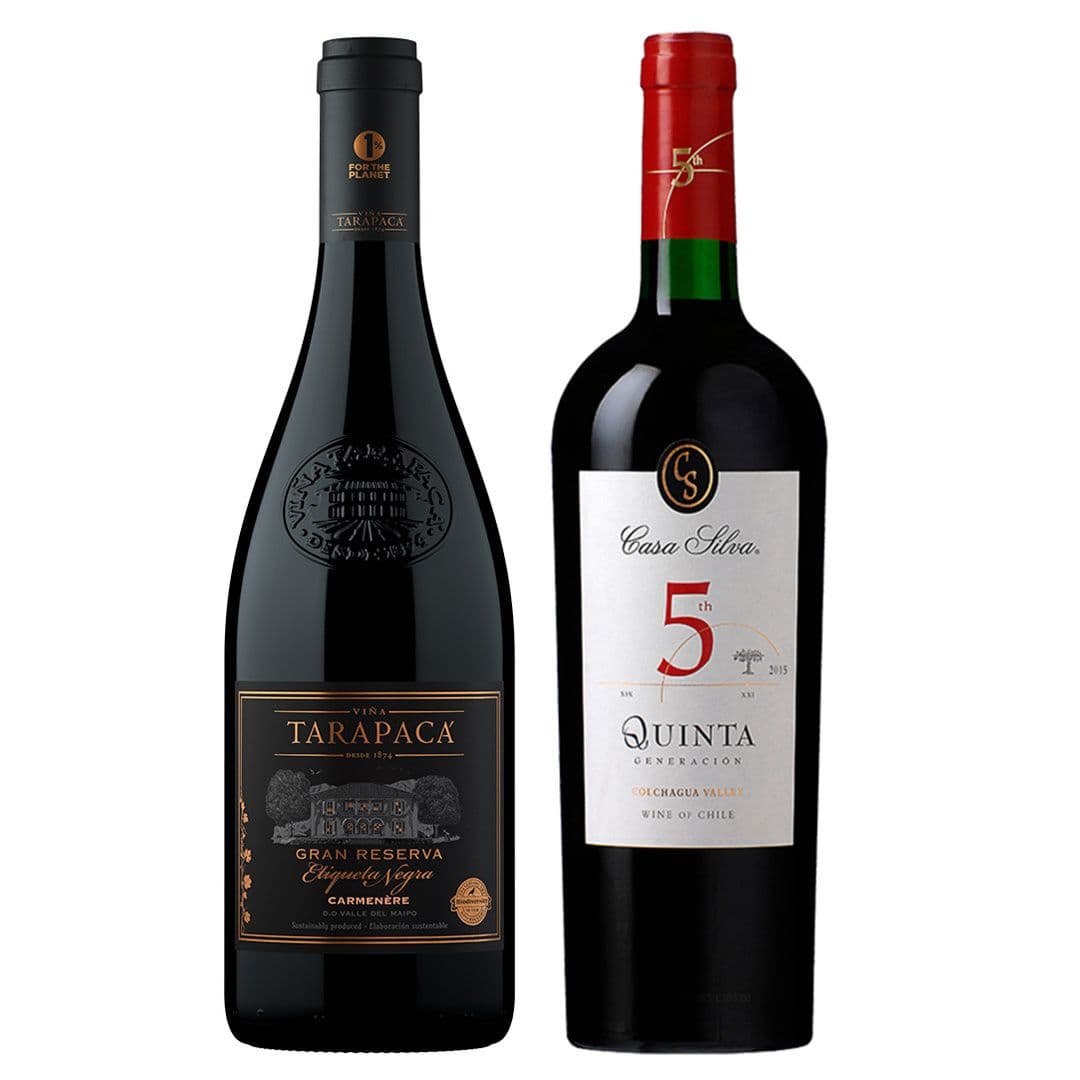 DÚO Tarapacá Etiqueta Negra (Carmenere) - Casa Silva Quinta Generación: 1x Vino Tarapacá Etiqueta Negra Carmenere 750cc + 1x Vino Casa Silva Quinta Generación Ensamblaje 750cc_1
