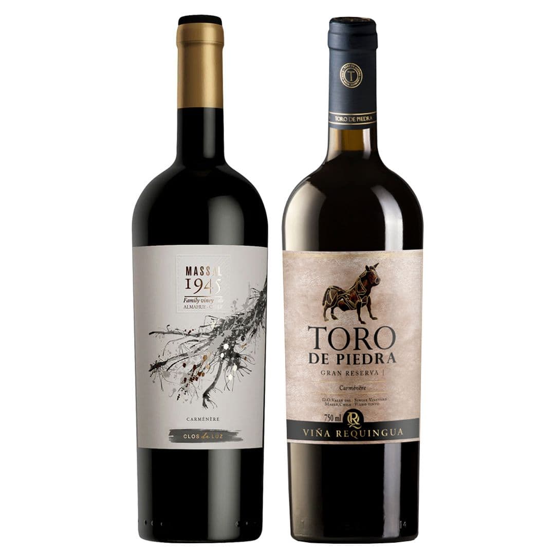PACK CLOS DE LUZ N°1 1x Vino Clos de Luz Massal 1945 Carmenere 750cc + 1x Vino Toro de Piedra Gran Reserva Carmenere 750cc_1
