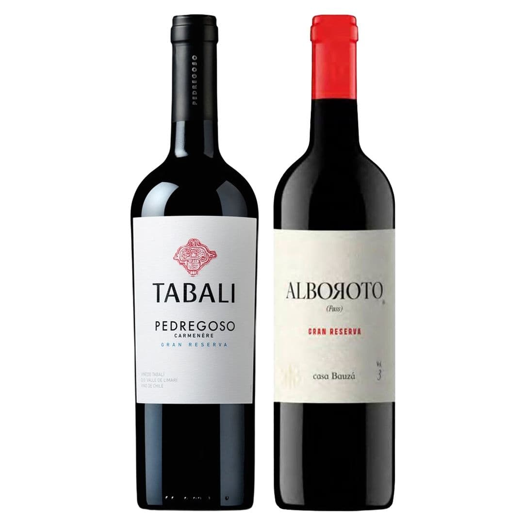 DUO TABALI - BAUZA: 1x Vino Tabali Pedregoso Gran Reserva Carmenere 750cc + 1x Vino Bauzá Alboroto Carmenere 750cc_1