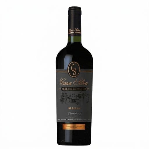 Vino Casa Silva Terroir de Familia Reserva Carmenere 750cc_1