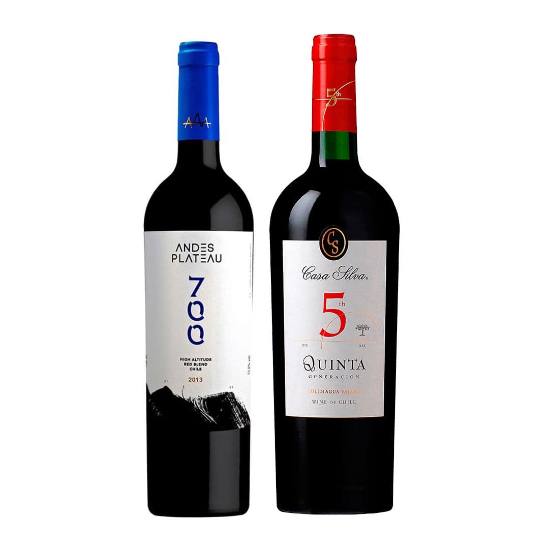 DUO ANDES PLATEAU - CASA SILVA: 1x Vino Andes Plateau 700 High Altitude Red Blend 750cc + 1x Vino Casa Silva Quinta Generación Ensamblaje 750cc_1