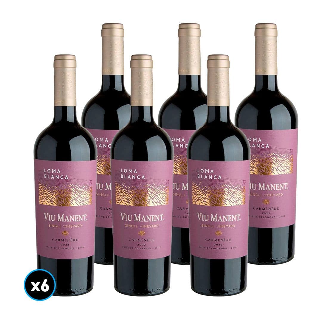 CAJA VIU MANENT SINGLE VINEYARD (Carmenere): 6x Vino Viu Manent Single Vineyard Loma Blanca Carmenere 750cc_1
