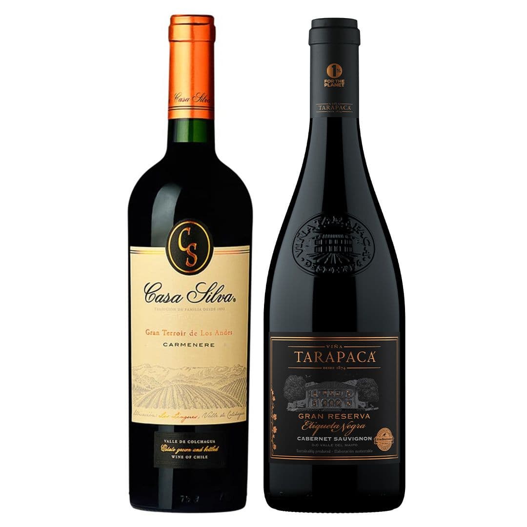 DUO TARAPACA - GRAN TERROIR N°2: 1x Vino Tarapacá Etiqueta Negra Cabernet Sauvignon 750cc + 1x Vino Casa Silva Gran Terroir Carmenere 750cc_1