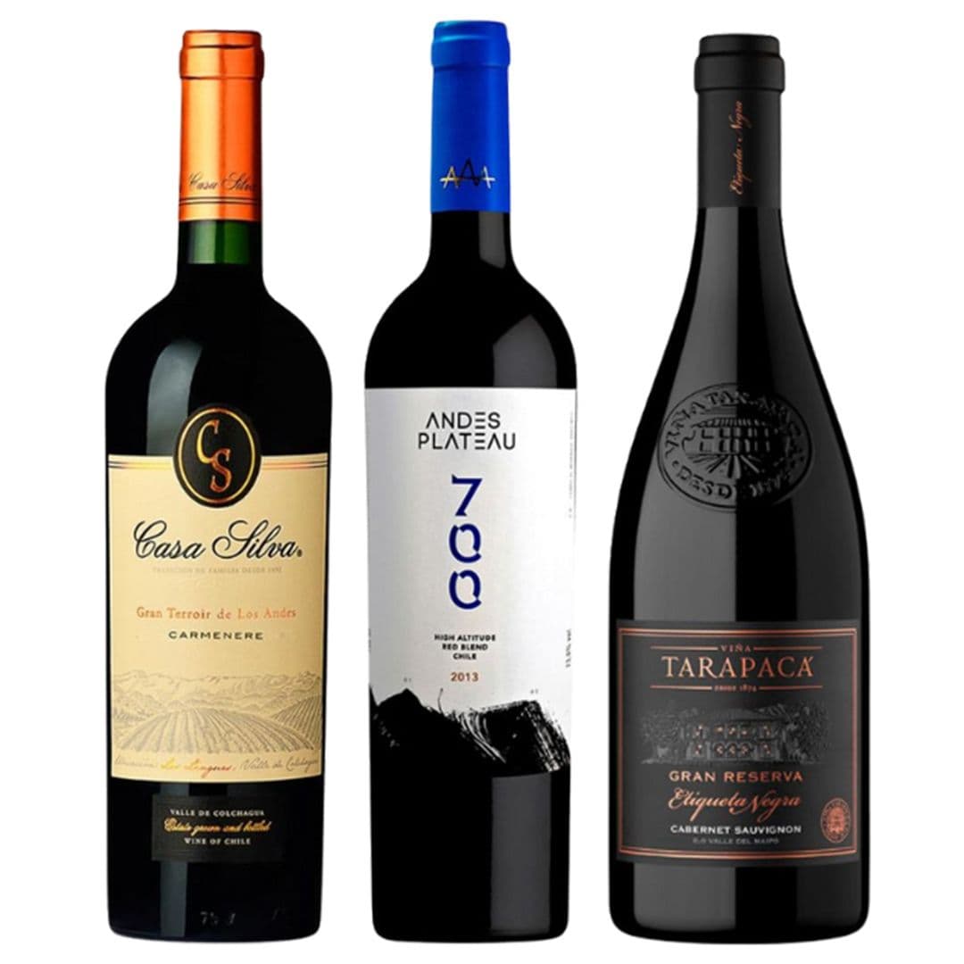 TRIO PREMIUM N°4: 1x Vino Andes Plateau 700 High Altitude Red Blend 750cc + 1x Vino Tarapacá Etiqueta Negra Cabernet Sauvignon 750cc + Vino Casa Silva Gran Terroir Carmenere 750cc_1