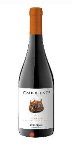 Vino Undurraga Cauquenes Estate Carignan 750cc 13°alc._1