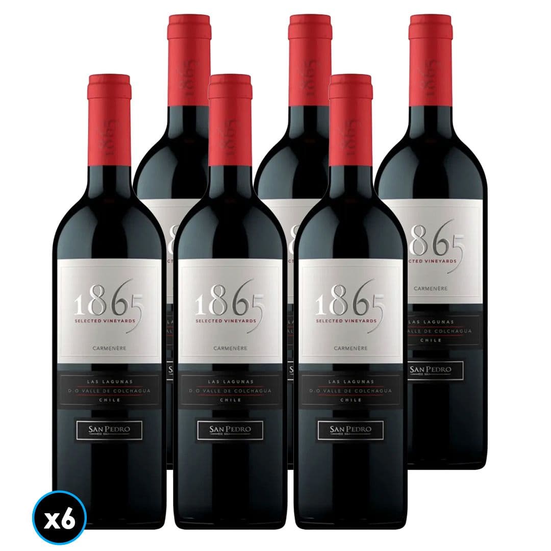 CAJA 1865 SINGLE VINEYARD (Carmenere): 6x Vino 1865 Single Vineyard Carmenere 750cc_1