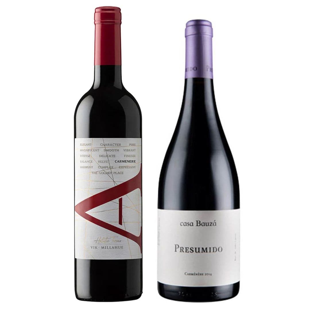 DUO VIK A - PRESUMIDO: 1x Vino VIK A Carmenere 750cc + 1x Vino Casa Bauzá Presumido Carmenere 750cc_1